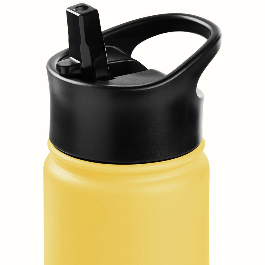 Retrospec Alder Insulated Stainless Steel Water Bottle New