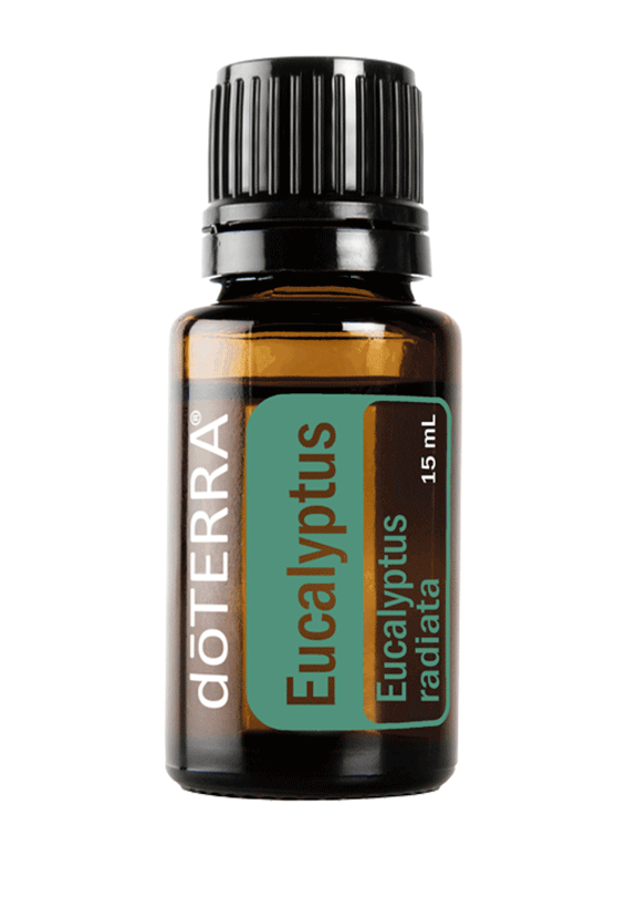 DoTerra Eucalyptus Essential Oil 15ml New