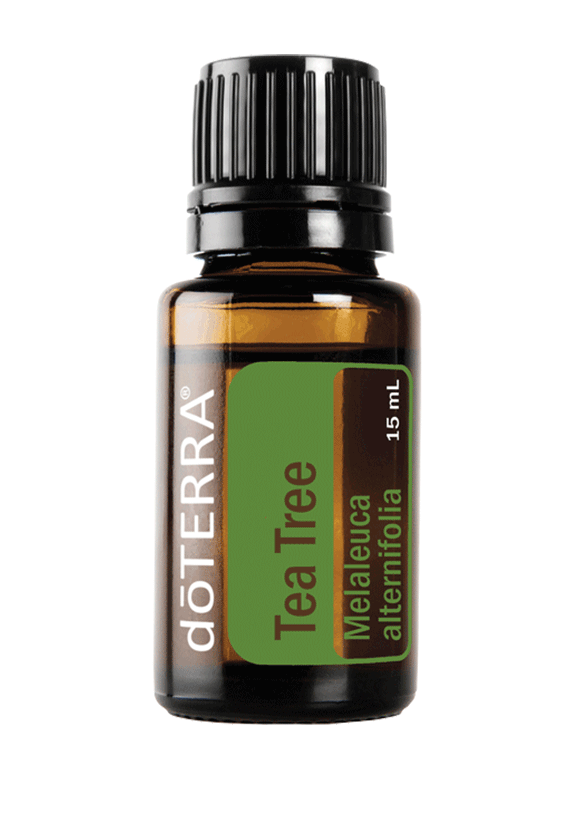 DoTerra Tea Tree Essential Oil 15ml New