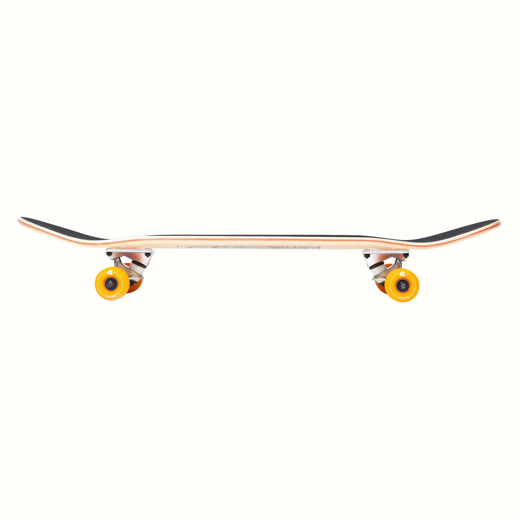 Retrospec Alameda 7.5"/8" Complete Skateboard New