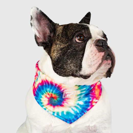 Canada Pooch Cooling Bandana Blue, Rainbow and Tie Dye NEW Dog Bandana