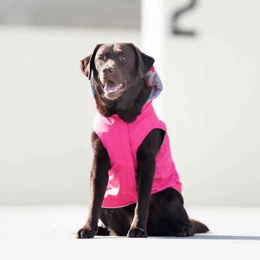 Canada Pooch Torrential Tracker available New Dog Raincoat Sizes and Colors