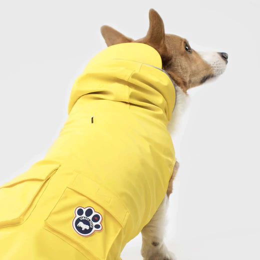 Canada Pooch Torrential Tracker available New Dog Raincoat Sizes and Colors