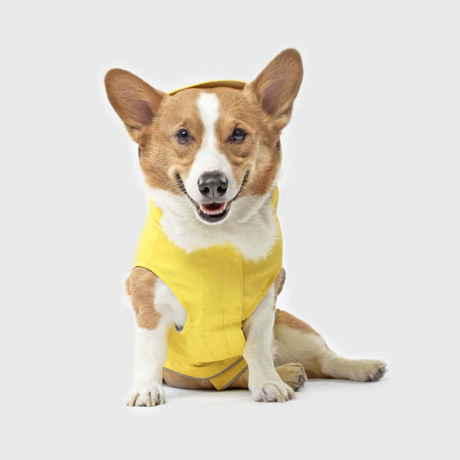 Canada Pooch Torrential Tracker available New Dog Raincoat Sizes and Colors