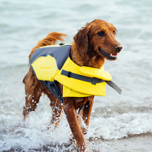 Canada Pooch Wave Rider Life Vest Size XS-XL  Yellow, Pink, Tie Dye Boating New